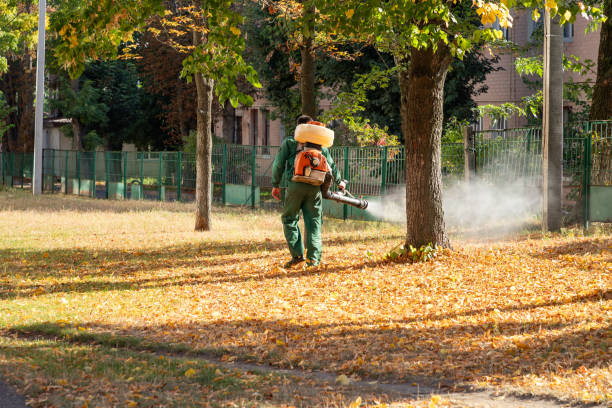 Pest Prevention Services in Elmhurst, IL
