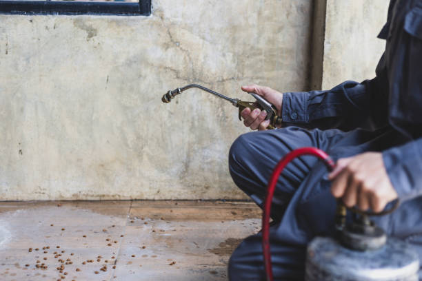 Best Commercial Pest Control Services  in Elmhurst, IL